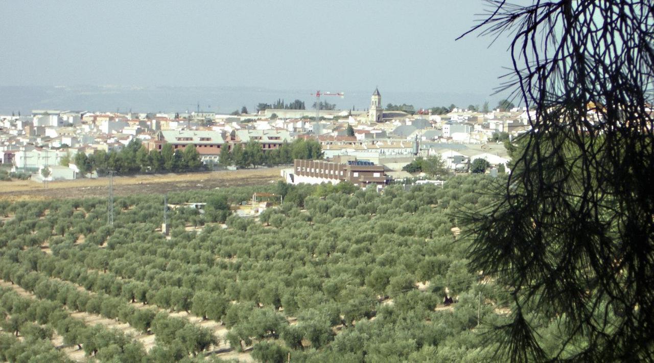 Hotel La Zambra Mancha Real エクステリア 写真